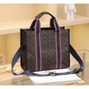 Premium Coach Handbag For Women (J903)