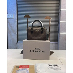 Premium Coach Handbag For Women (J919)