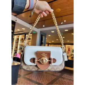Premium Coach Handbag For Women (J924)