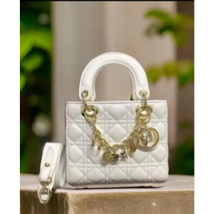 Trendy Dior Handbag For Women (SW5317)