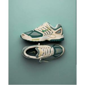 Air Pegasus 2005 Bicoastal Shoes For Men (SL86)