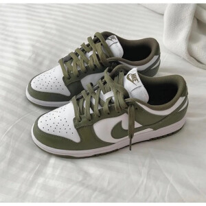 Nike Sb Dunk Olive Shoes For Men (SW1245)