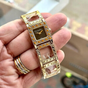 Christion Dior Watch For Women (CS69)