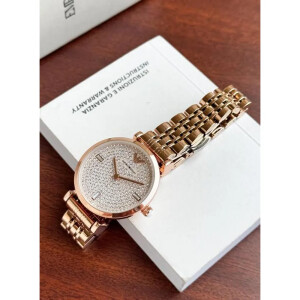 Emporio Armani Watch For Women (SW1355)