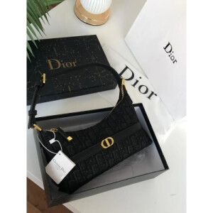 Stylish Christian Dior Handbag For Women (SW2181)