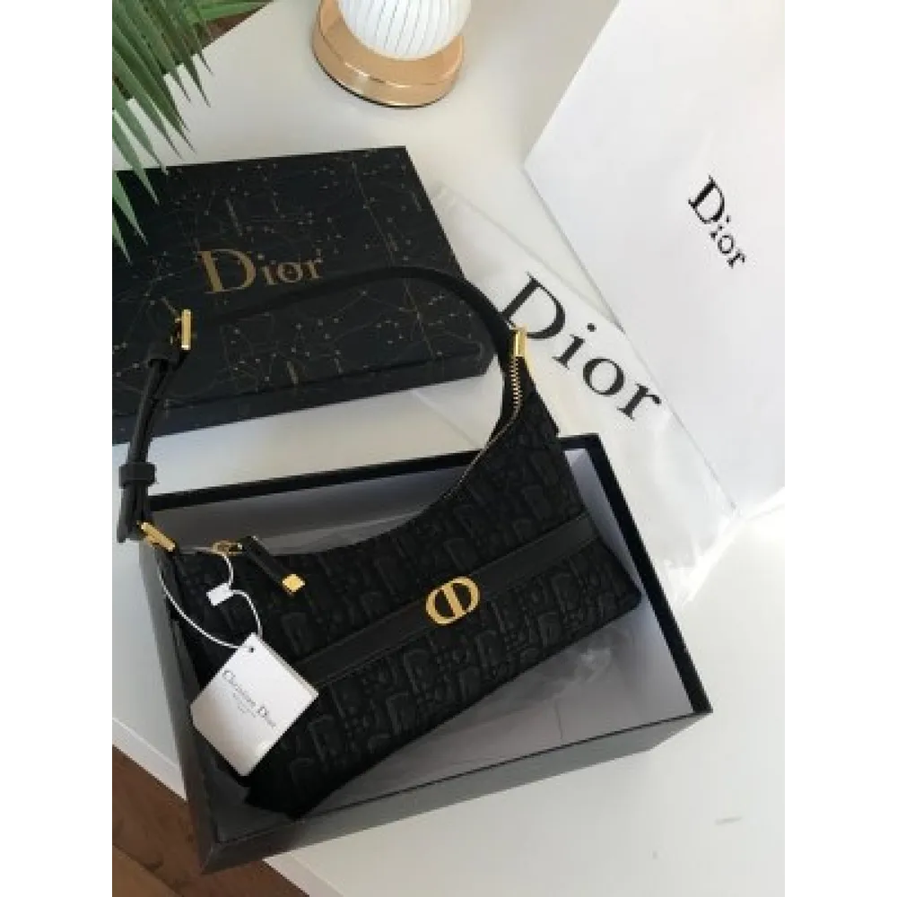 Stylish Christian Dior Handbag For Women (SW2181)