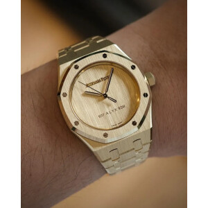 Audemars Piguet Watch For Men (SG536)