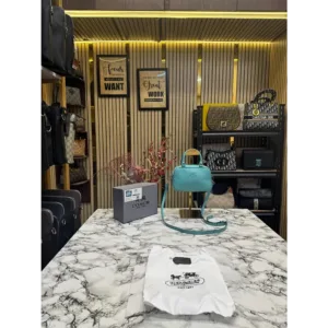 Coach Handbag For Women (FT257)