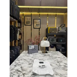 Coach Handbag For Women (FT258)