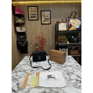 Burberry Handbag For Women (FT263)