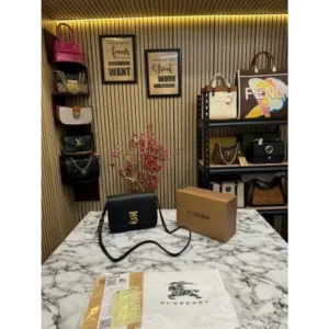 Burberry Handbag For Women (FT264)