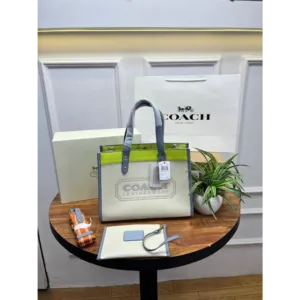 Coach Handbag For Women (FT299)