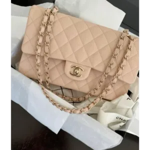 Chanel Handbag For Women (FT210)