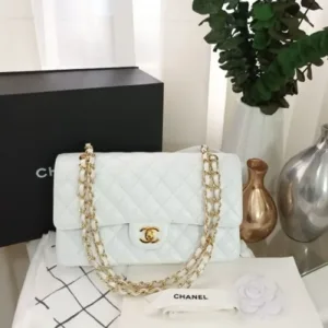 Chanel Handbag For Women (FT215)