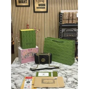 Gucci Handbag For Women (FT225)