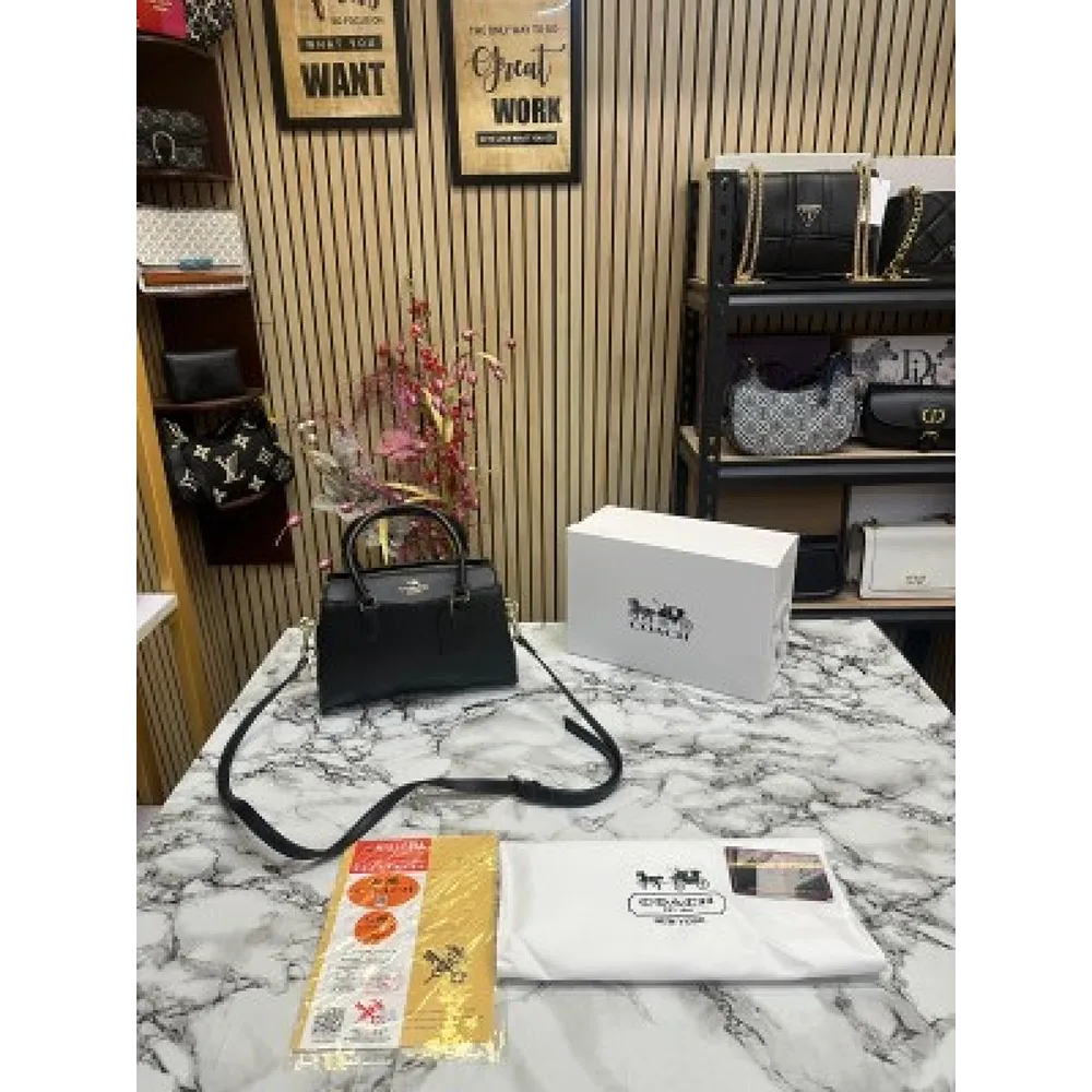 Coach Handbag For Women (FT227)