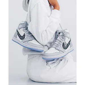 Nike Air Jordan Retro 1 High Dior Shoes For Men (SZ29)