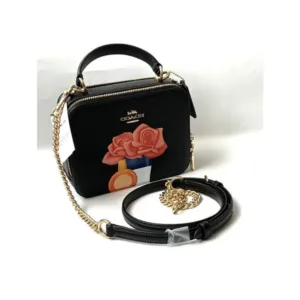 Coach Handbag For Women (LAB77)