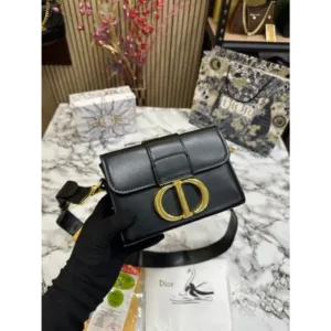 Christion Dior Handbag For Women (BOT1117)