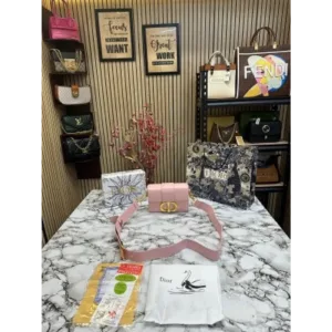 Christion Dior Handbag For Women (BOT1118)
