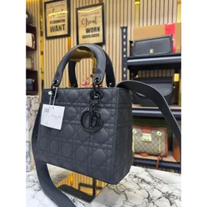 Christion Dior Handbag For Women (BOT920)