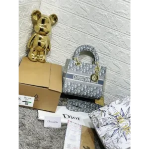 Christion Dior Handbag For Women (BOT923)