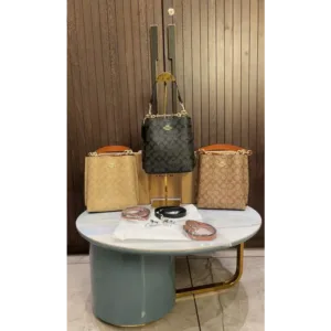 Coach Handbag For Women (BOT829)