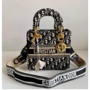 Christion Dior Handbag For Women (BOT930)