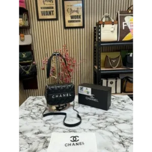 Chanel Handbag For Women (BOT1131)