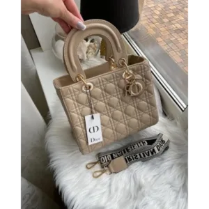 Christion Dior Handbag For Women (BOT931)