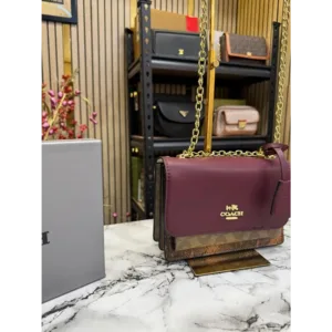 Coach Handbag For Women (BOT936)