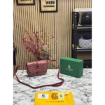 Goyard Handbag For Women (BOT837)