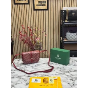 Goyard Handbag For Women (BOT837)
