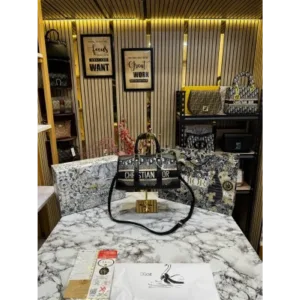 Dior Handbag For Women (BOT1042)