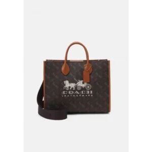 Coach Handbag For Women (BOT1046)