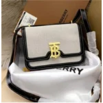 Burberry Handbag For Women (BOT946)