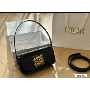 Dior Handbag For Women (BOT956)