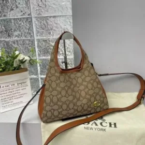 Coach Handbag For Women (BOT871)