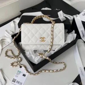Chanel Handbag For Women (BOT882)