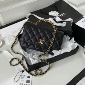 Chanel Handbag For Women (BOT883)