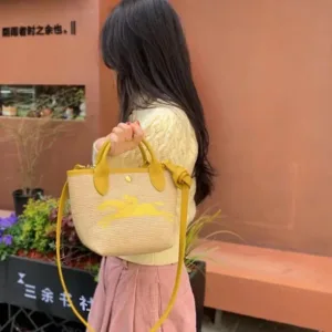 Long Champ Handbag For Women (BOT994)