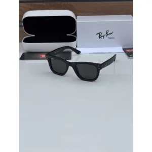 Rayban Sunglasses (CSO1697)