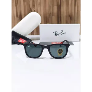 Rayban Sunglasses (CSO1733)
