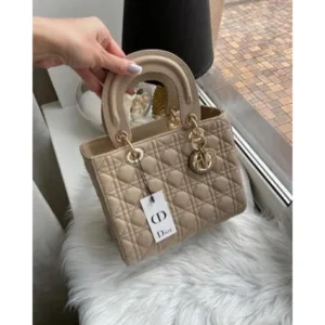 Christian Dior Handbag For Women (PH06)