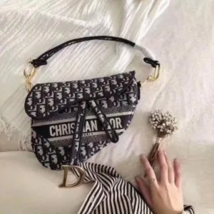 Christian Dior Handbag For Women (PH89)