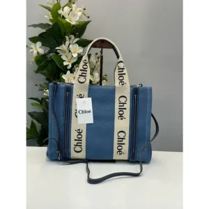 Chloe Canvas Handbag For Women (BOT2243)