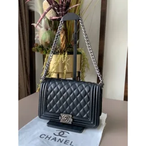 Chanel Handbag For Women (BOT2288)