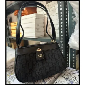 Christian Dior Handbag For Women (PH03)