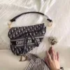 Dior Saddle Bag