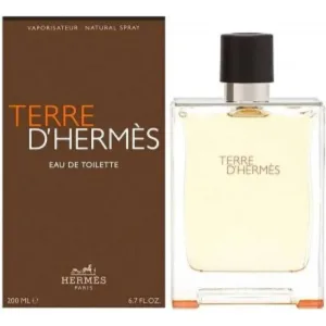 Hermes Paris Terre D Hermes Edt Parfum